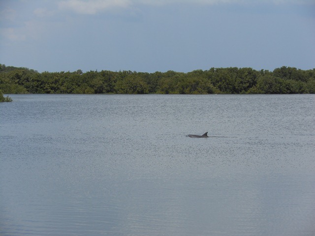 Kayaking the Cedar Key from Rains Cottage