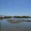 Told you the tide was about to turn. What you see is low tide at Rains Cottage.