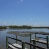 Still low tide at the cottage. That's oyster beds you see.